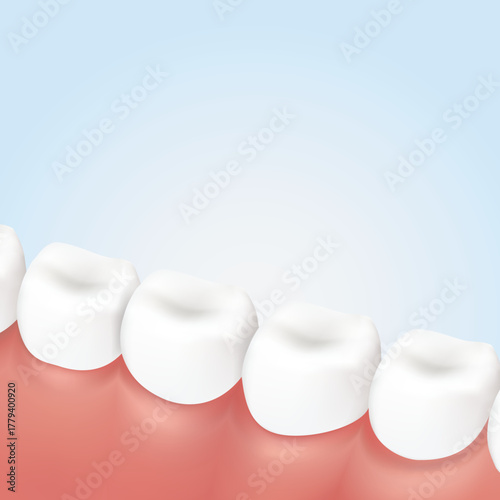 Realistic Vector illustration of healthy molar teeth and gums. Dental anatomy concept