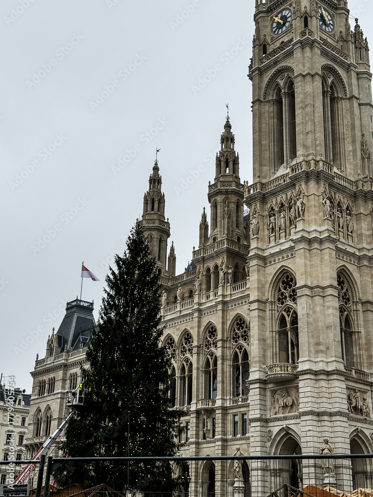 Fototapeta premium Christmas Tree Installation and Market Setup at Rathausplatz, Vienna