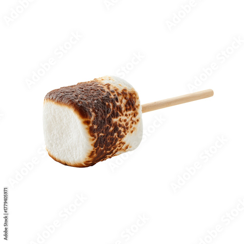 Deliciously Toasted Marshmallow on a Stick Ready for a Sweet Treat