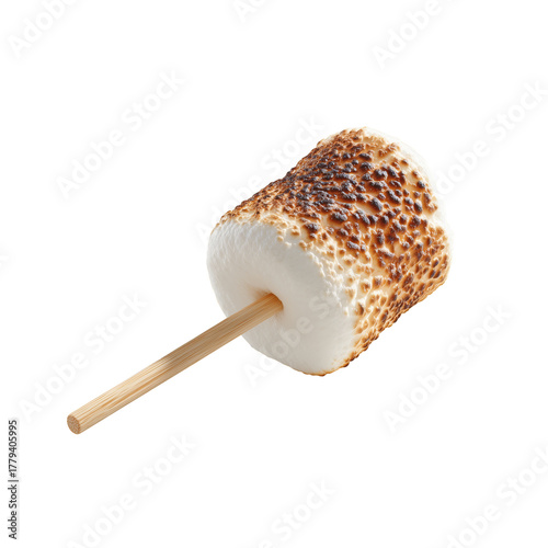 Deliciously Toasted Marshmallow on a Stick Ready for a Sweet Treat.