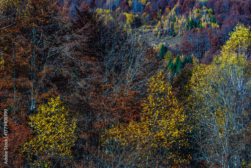  Transapuseana, one of the most spectacular roads in Romania 