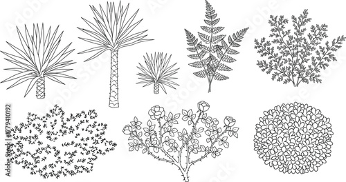 Tropical Plants and Shrubs Vector Set in Black and White Line Art