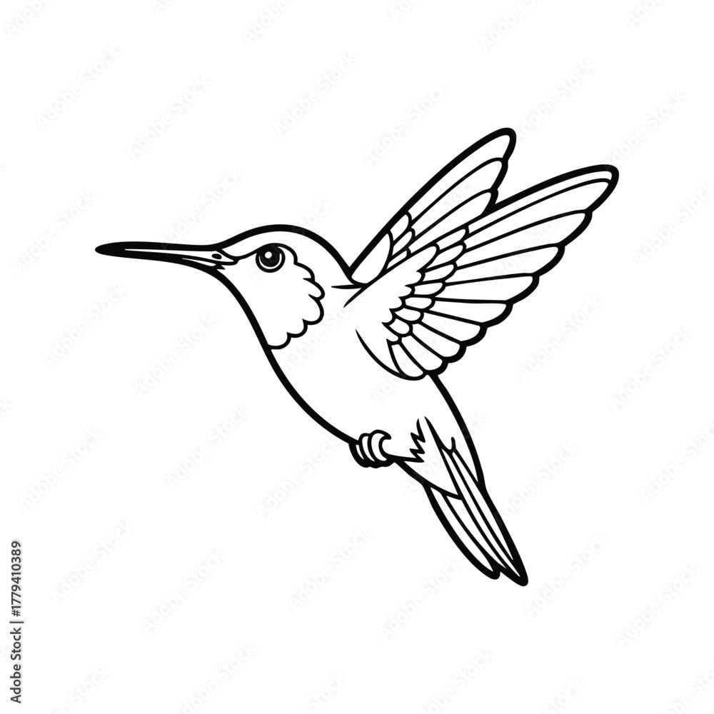 Obraz premium Black and White Outline Drawing of a Hummingbird in Flight, Line Drawing of a Hummingbird Hovering, Monochrome Vector of Hummingbird, Hummingbird Line Art, illustration, vector.