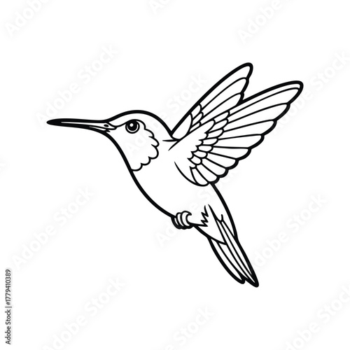 Black and White Outline Drawing of a Hummingbird in Flight, Line Drawing of a Hummingbird Hovering, Monochrome Vector of Hummingbird, Hummingbird Line Art, illustration, vector.
