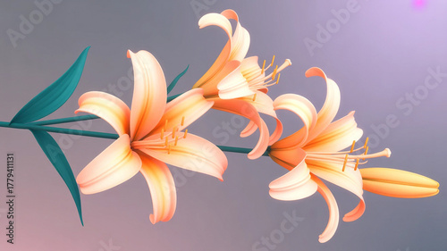 Orange lily flower isolated on white background, a summer floral blossom of nature's beauty