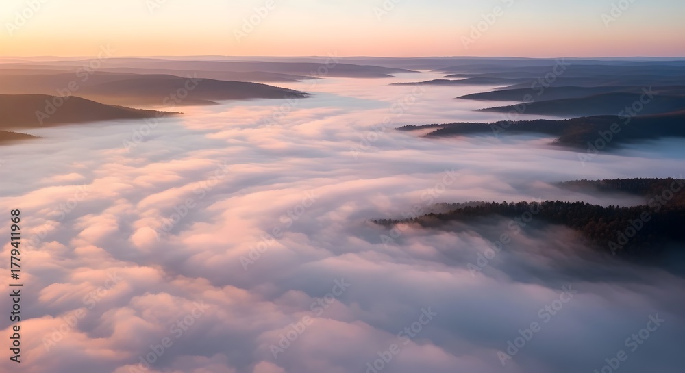 Obraz premium Misty Valley at Dawn