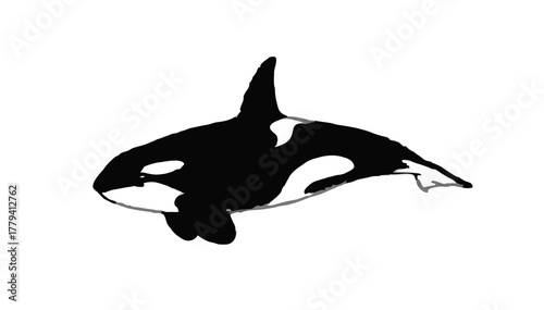 Orca