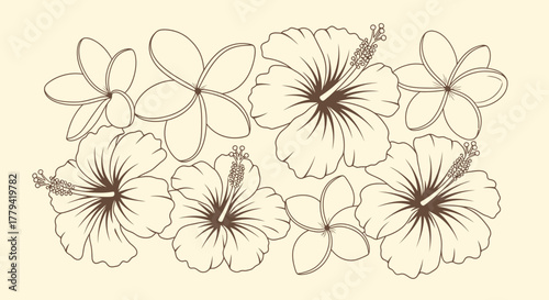 Elegant tropical floral line art composition with frangipani and hibiscus