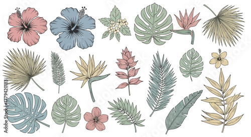 Tropical botanical illustration with various flowers and leaves composition