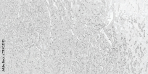 Bright abstract silver metallic texture with irregular organic shapes and a subtle luminous sheen creating a textured and visually engaging background for design