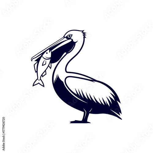 Pelican standing proudly with a fish in its beak against a simple white background, showcasing nature's beauty