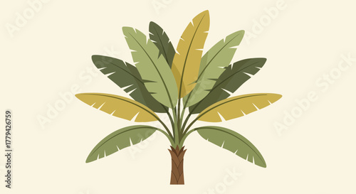 Stylized tropical banana plant illustration with light background
