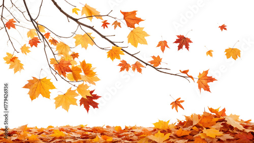 Bright orange and yellow maple leaves gently fall from tree branches, creating a rich carpet of autumn foliage scattered on the ground.