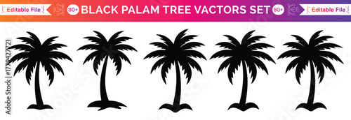 palm trees, silhouette, minimalist black, white vector graphics simple design