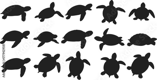 Turtle, Animal, Reptile, Wildlife, Nature, Ocean, Sea, Marine, Shell, Creature, Aquatic, Silhouette, Vector, Design, Illustration
