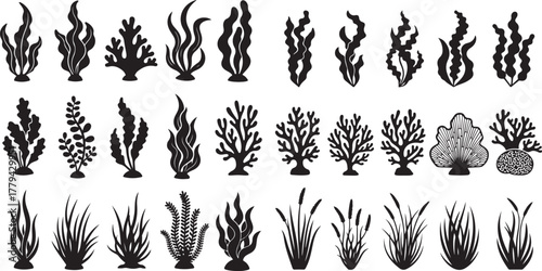 Collection of Seaweed, Coral, and Aquatic Plant Silhouettes. Marine life, underwater flora, and ocean ecosystem graphics