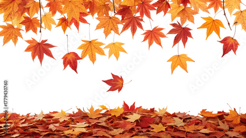 Colorful autumn leaves gracefully fall from the top, landing on a scattered pile of foliage below, creating a beautiful natural seasonal frame.