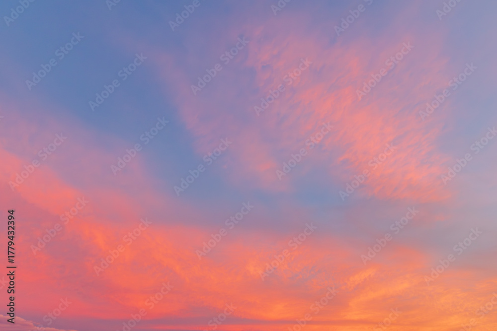 Fototapeta premium 美しい夕焼け