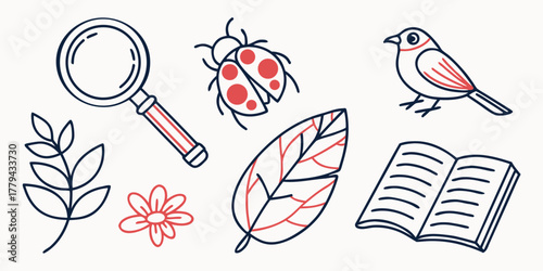 Hand drawn icons magnifying glass ladybug bird leaf flower book