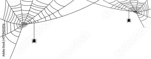 halloween, spider, web, spiders, webs, arachnid, insect, creepy, spooky, scary, dark, night, autumn, fall, celebration, decoration, illustration, graphic, design, element, border, corner, hanging, sil