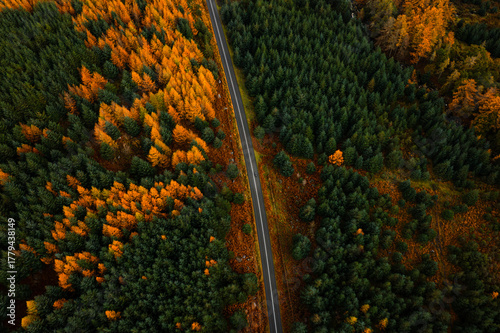 Top Down Aerial View of an Empty Road Through an Autumn Forest in Wicklow Mountains	