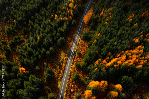 Top down aerial view of a car driving through autumn colour forest, casting long shadows in the Wicklow Mountains