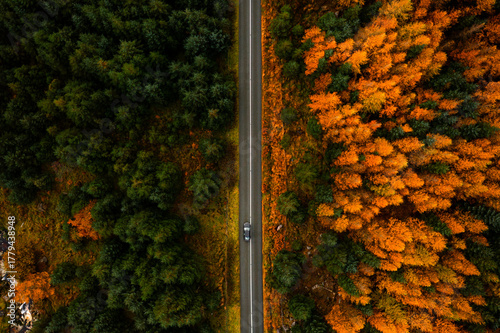 Aerial top down view of a car driving through pine forest road divided by green and orange autumn trees in the Wicklow Mountains