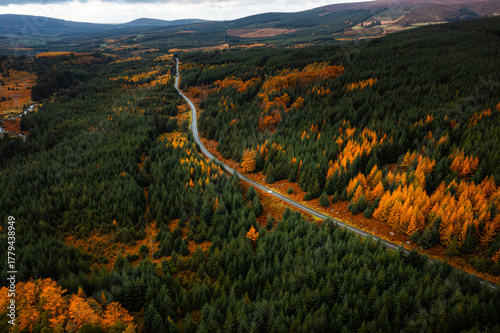 Scenic aerial view of a winding mountain road with cars surrounded by autumn forest colours in Wicklow, Ireland.