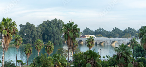 Fototapeta Naklejka Na Ścianę i Meble -  landscape with trees and Seyhan river Adana