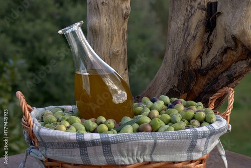 Wicker basket full of fresh green olives with a small bottle of new olive oil – rustic Mediterranean scene