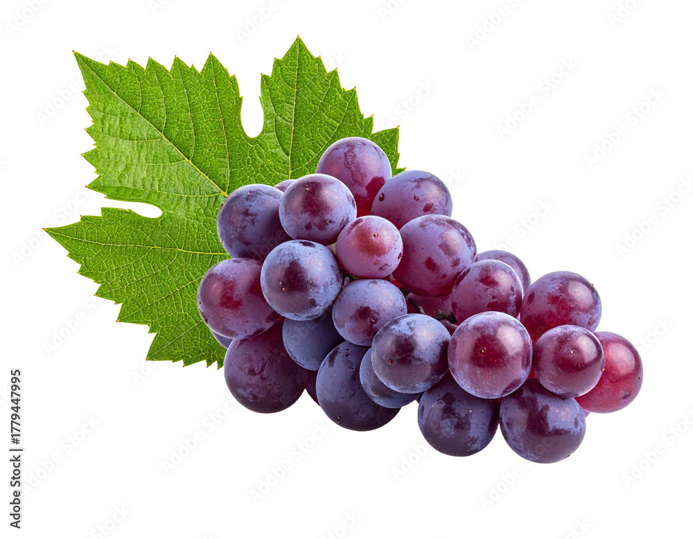 Fototapeta premium Cluster of ripe red grapes with a green leaf, isolated on transparent background