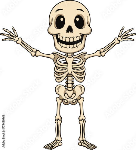 Cartoon human skeleton drawing, funny bone character illustration, cute skull artwork, playful anatomy design, cheerful skeleton mascot, cad drawing flat vector illustration