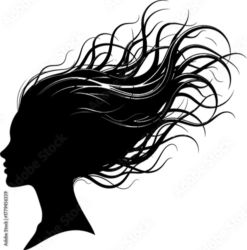 Silhouette of Woman with Flowing Hair