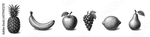 Vintage engraving style fruit lineup with pineapple, banana, apple, grapes, lemon, pear