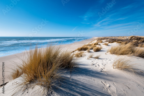 Fototapeta Naklejka Na Ścianę i Meble -  Ocean coast with sandy dunes and blue sky