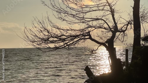 A guy is windsurfing at sea