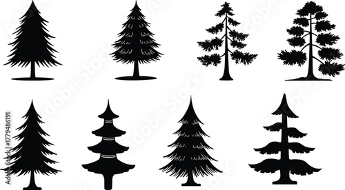 Conifer tree silhouettes, evergreen pine forest shapes, fir spruce cedar collection, isolated botanical design, nature vector set, flat illustration graphic
