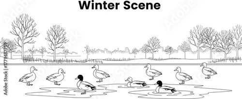 Ducks swimming in a winter pond with bare trees and a distant cityscape view