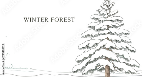 Snowy winter forest scene with tall pine trees covered in fresh white snow