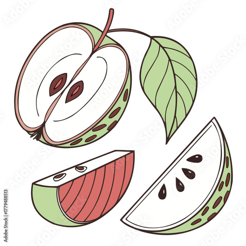 Vector illustration of a fresh, sweet, and healthy slice of apple with a leaf, perfect as a food or fruit icon.