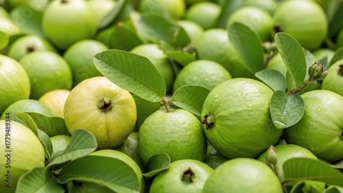 Closeup fresh green guavas with green leaves background.