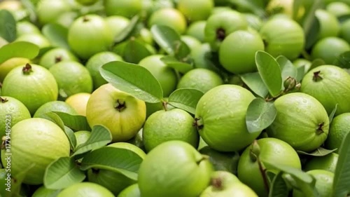 Closeup fresh green guava fruit as background.