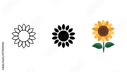 Yellow sunflower vector illustration, a vibrant floral design element for summer and spring nature cards or patterns on a white background