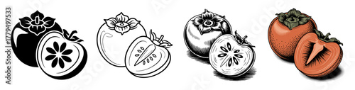 persimmon fruit set with whole, sliced and vintage design, vector illustrations for autumn harvest and healthy food