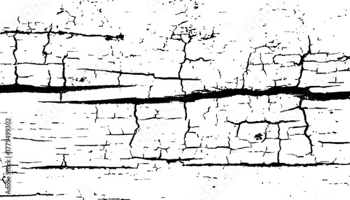 Abstract black and white closeup of weathered wood with radial cracks texture. Black and white wood cracks texture on a transparent background.
