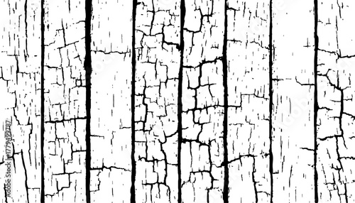 Abstract black and white closeup of weathered wood with radial cracks texture. Black and white wood cracks texture on a transparent background.