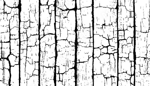 Abstract black and white closeup of weathered wood with radial cracks texture. Black and white wood cracks texture on a transparent background.