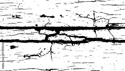 Abstract black and white closeup of weathered wood with radial cracks texture. Black and white wood cracks texture on a transparent background.