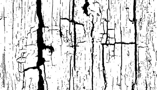 Abstract black and white closeup of weathered wood with radial cracks texture. Black and white wood cracks texture on a transparent background.