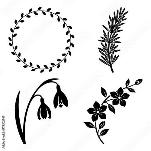 Collection of four botanical illustrations, flower design